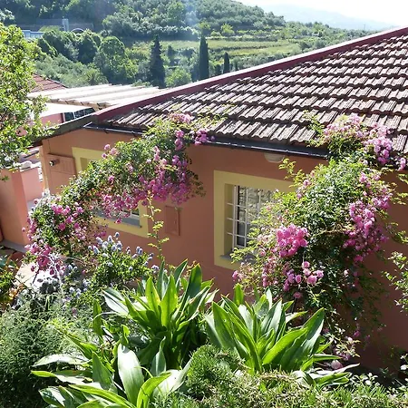 Belvedere Appartement